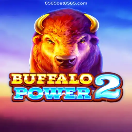 Exploring BuffaloPower2 and 8565BET.COM: A Plataforma de Apostas #1 do Brasil